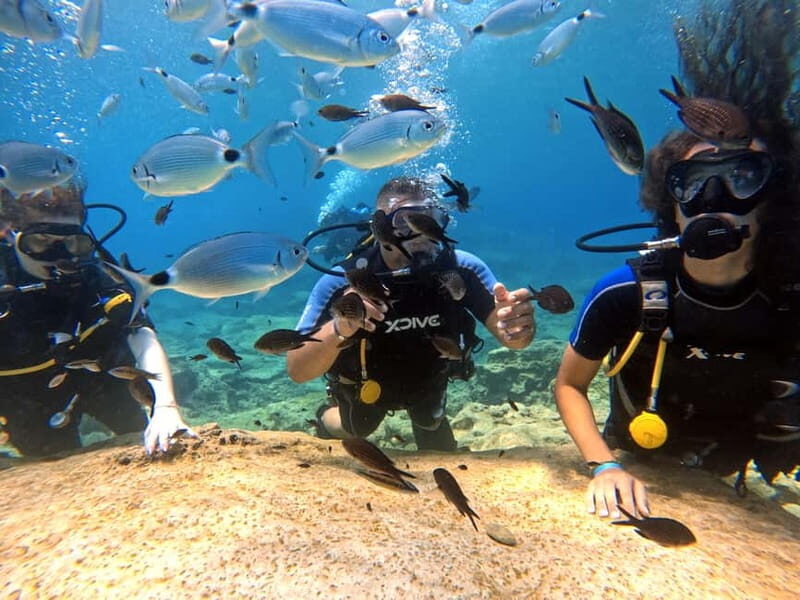 Discover Scuba Diving Experience - Who Will Love This Experience?
