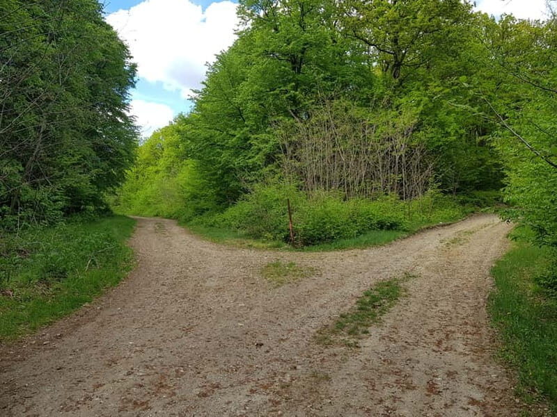 Discover the Charm of Guteria Hill/Sibiu Panorama - Practical Details and What to Expect