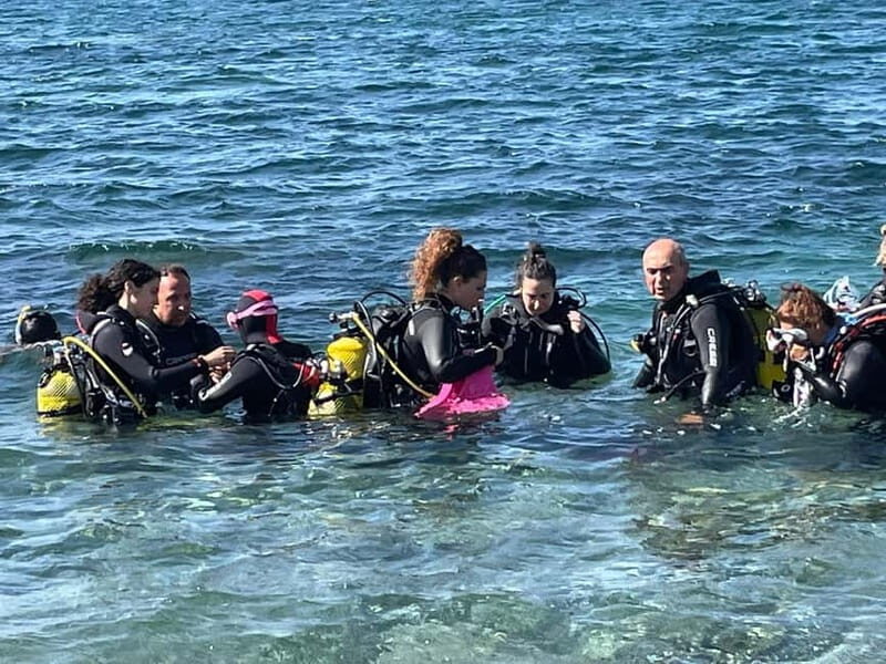 Diving - A Closer Look at the Diving Experience