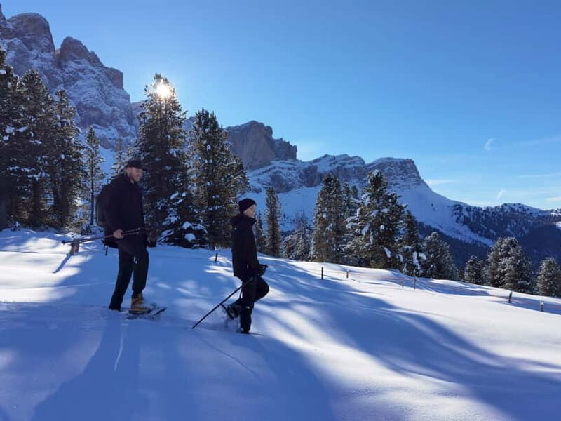 Dolomites of Bolzano: Winter Hiking & Sledding Experience - A Deep Dive into the Dolomites Winter Experience