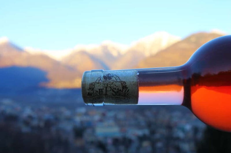 Domodossola: Savor Wines & Local Treats in a Scenic Vineyard - What Sets This Tour Apart