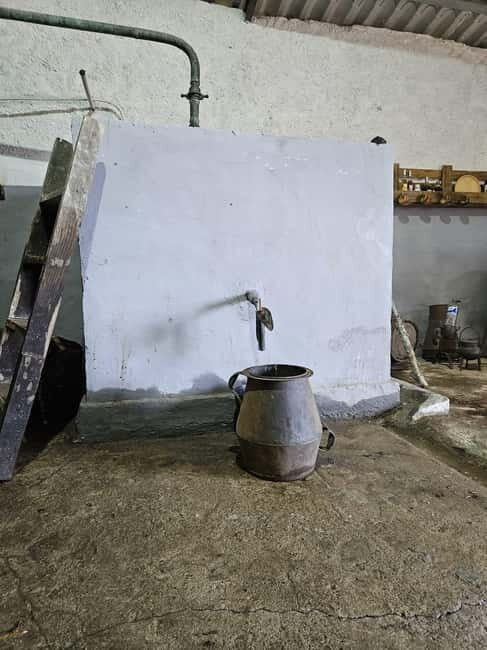 Douro: Traditional Harvest Lunch at Quinta de Sobre a Fonte - Practical Details and Value