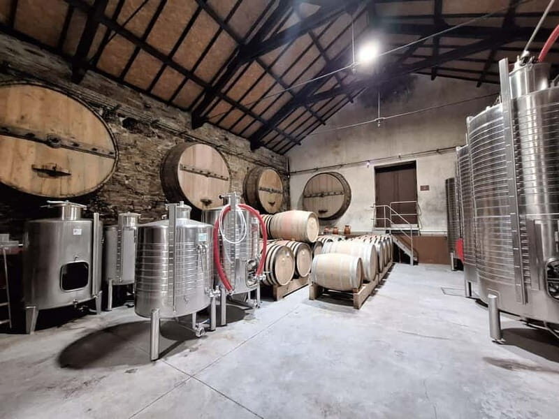 Douro Valley: 2 Wineries, Lunch & Boat - The Itinerary in Detail