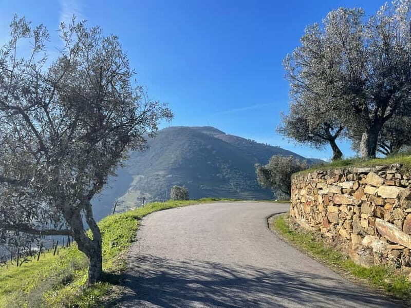 Douro Valley: Kayak and Vineyard Tour with Lunch and Wine - Logistics and Practicalities