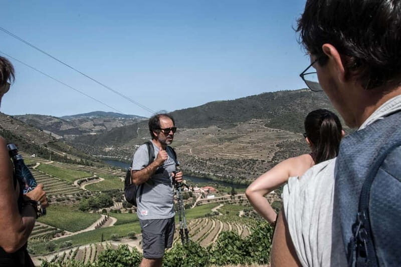 Douro Valley: Provesende and São Cristóvão Guided Hike - What Makes This Tour Stand Out