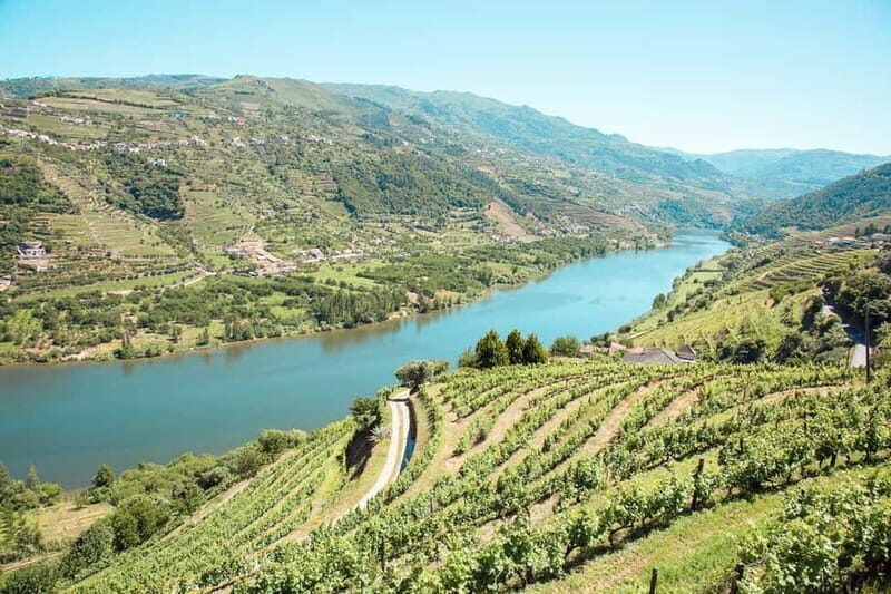 Douro Valley: Real Small-Group, Wine Tasting, Lunch & Boat - An In-Depth Look at What This Tour Offers