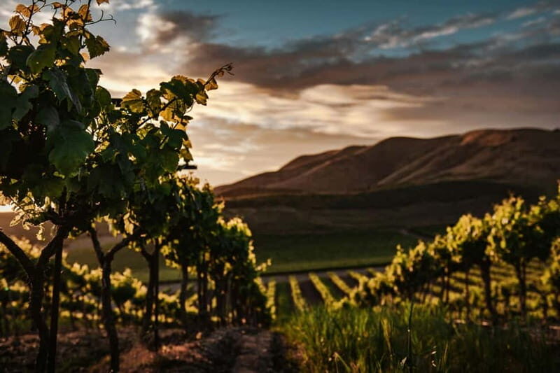 Douro Valley Tour with Lunch, Visit to a Vineyard, Boat Trip - The Itinerary in Detail
