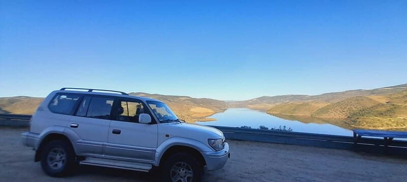 Douro Valley: Wine & Chocolate Tour in the Wine Region - What Makes This Tour Stand Out?