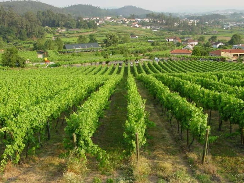 Douro & Vinho Verde Private Tour - The Value of This Tour
