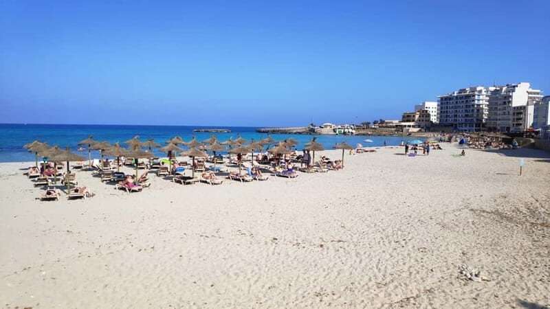 Drach Caves and Palma or Beach Retreat  Full-Day Tour - Exploring Palma: Gothic Charm and Historic Grandeur
