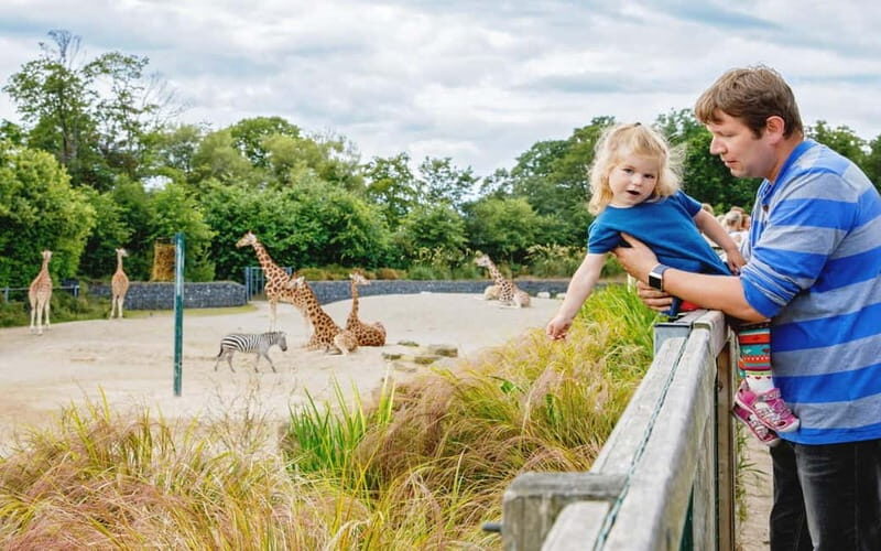 Dublin Zoo: Skip-the-Line Tickets with Private Transfers - Final Thoughts: Who Will Love This Tour?