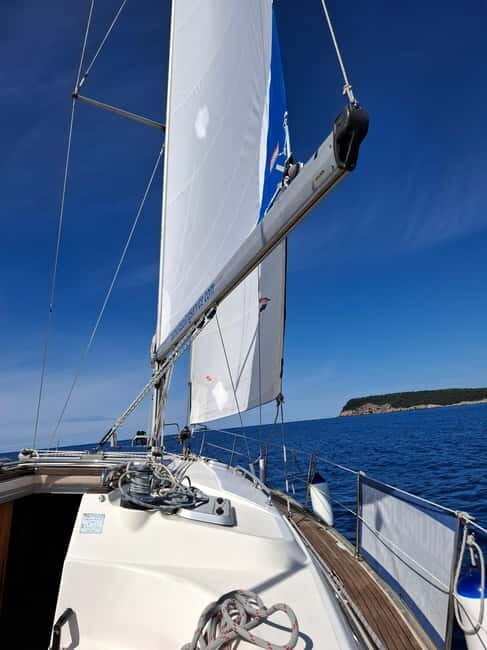 Dubrovnik-Half day Private tour to Elafity islands&Blue cave - Diving Into the Details