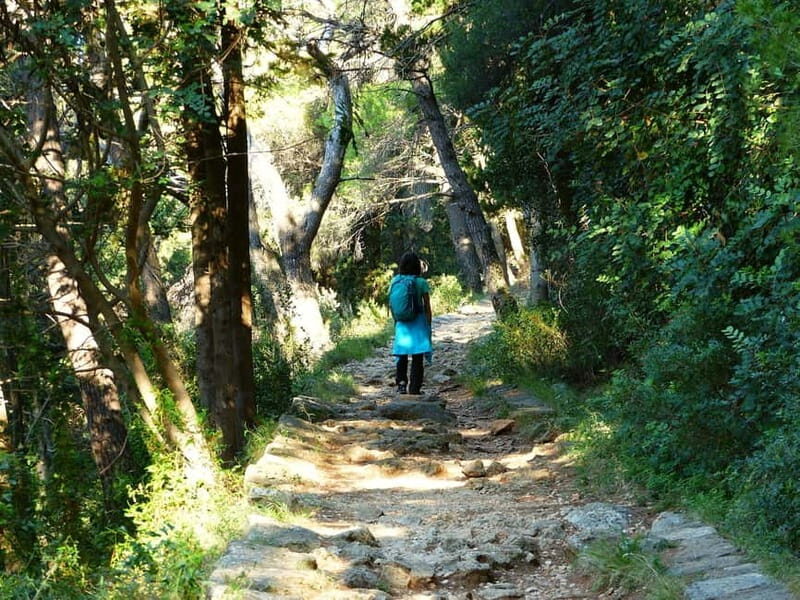 Dubrovnik: Rise and Shine Hike - What Makes This Tour Stand Out