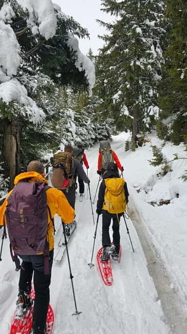 Durmitor National Park: Snowshoeing Hike to Base Camp - Why Choose This Tour?