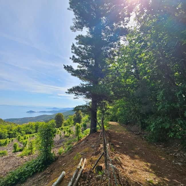 E bike Excursions and Lunch in Monte Capanne - Practical Details and Value