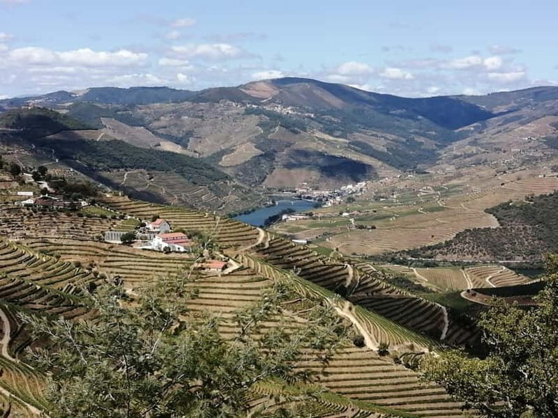 e-Bike Through Douro Valley Wine Region for Half Day Tour - Exploring the Douro Valley on Two Wheels