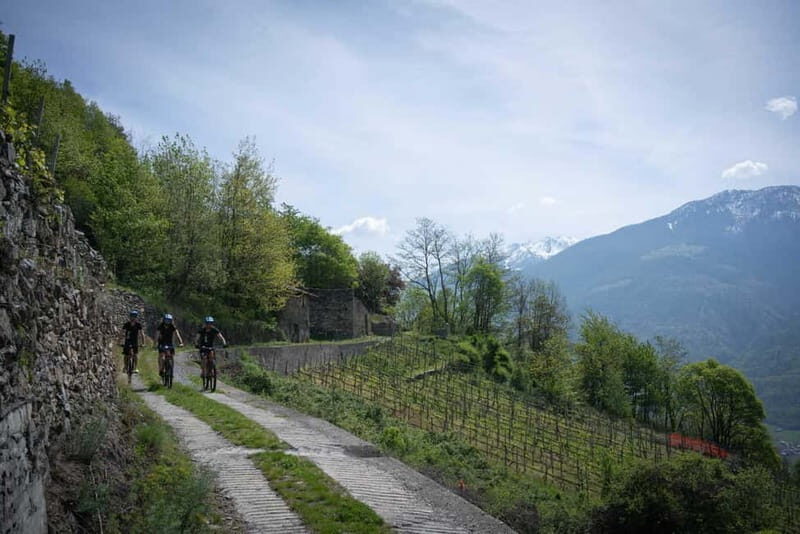 E-Bike Wine Tour with Indomita - The Itinerary in Detail