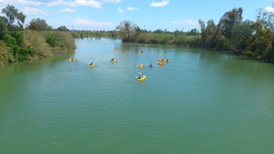 Ebro Delta: Guided Kayak Tour to Gracia Island - What to Expect in Detail