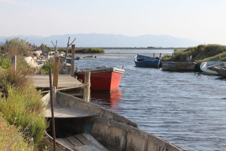 Ebro Delta: Northern Delta Guided Tour with a Local - The Experience that Makes a Difference