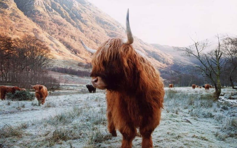 Edinburgh: 18-39s 3-Day Tour of Scottish Highlands & Skye - From the Hills to Culloden: Tales of Rebellion and Resilience
