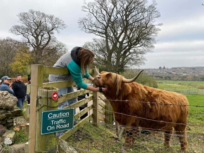 Edinburgh: Highland Cow, Blackness Castle, and Cake Tour - What’s Included and How It Works