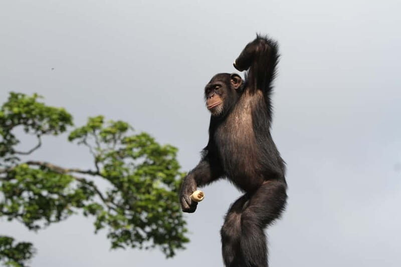 Edinburgh: Late Night Edinburgh Zoo Entry Ticket - Why This Experience Might Be Perfect for You