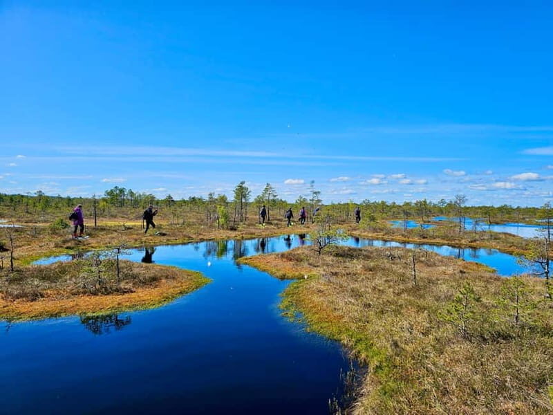 emeri Bogs Adventure: Explore Wetlands In Bog Shoes - Detailed Review of the emeri Bogs Adventure