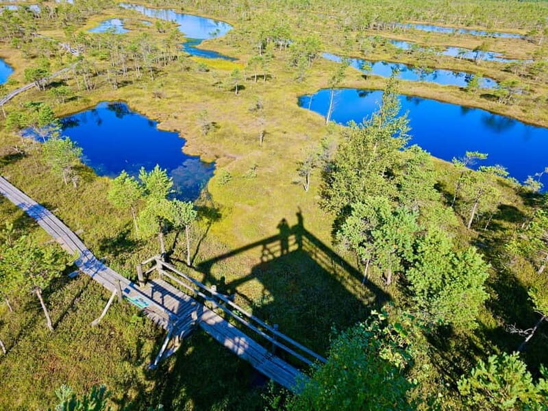 emeri Great Bog With Optional Sunrise & Jrmala Visit - What’s Included and What’s Not