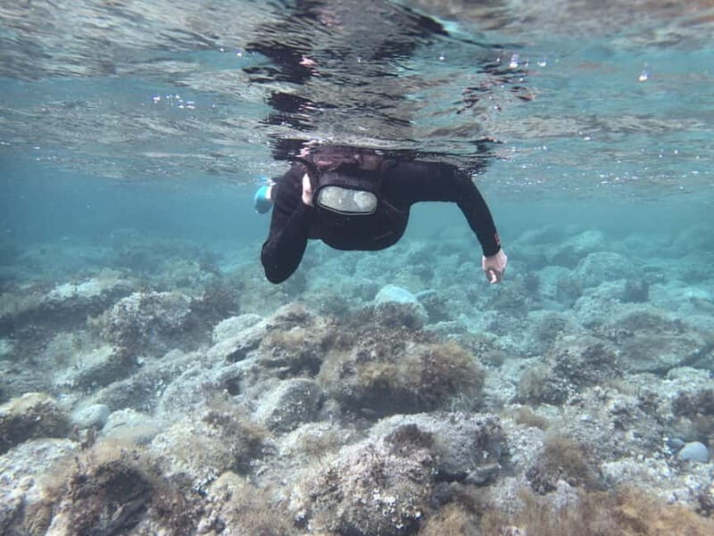 Es Grau:Private Snorkeling Experience with Picnic and Drinks - Why the Experience Is Worth It