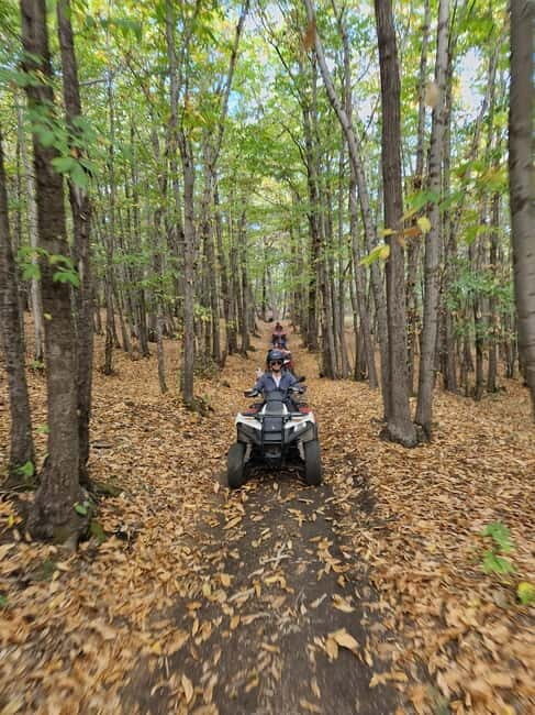 Etna Quad 2-hour tour with lava flow cave visit - Who Should Consider This Tour?