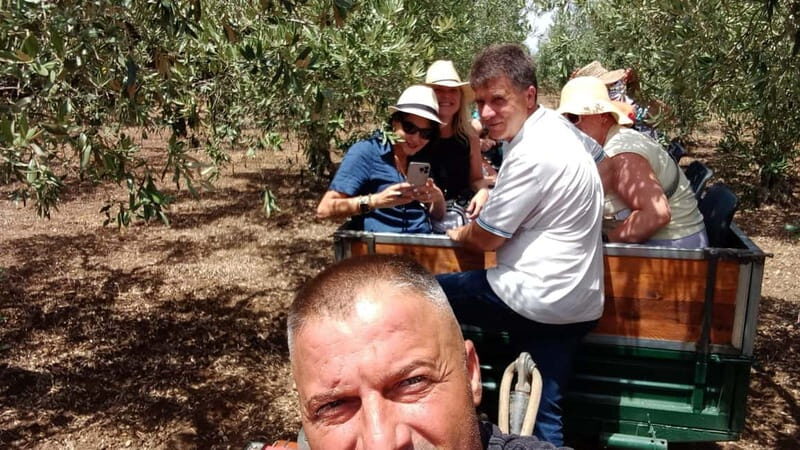 EVO Oil Tasting in Castelvetrano - Olive Oil Tasting: Monovarietals and Flavors