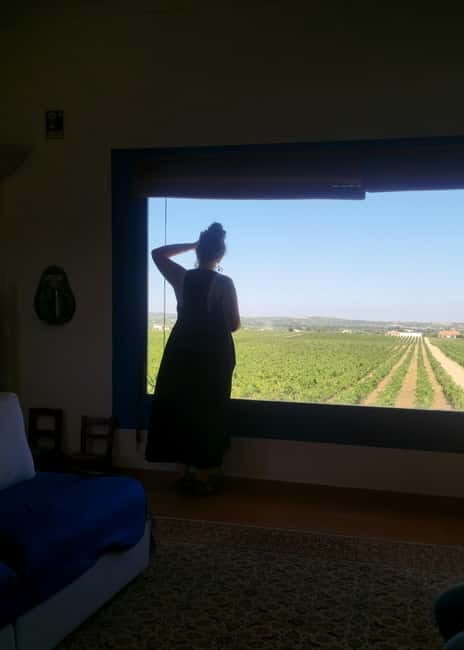 Évora & Wines: A Taste of Authentic Alentejo - Practical Details and What to Expect