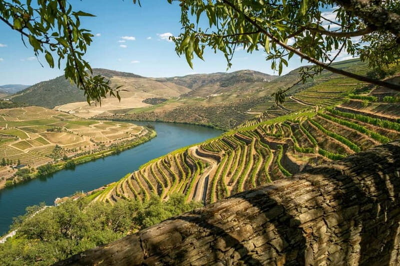 Exclusive Douro Valley: 3 Wineries, 9 Wine Tastings & Lunch - The Experience Provider and What It Means for You