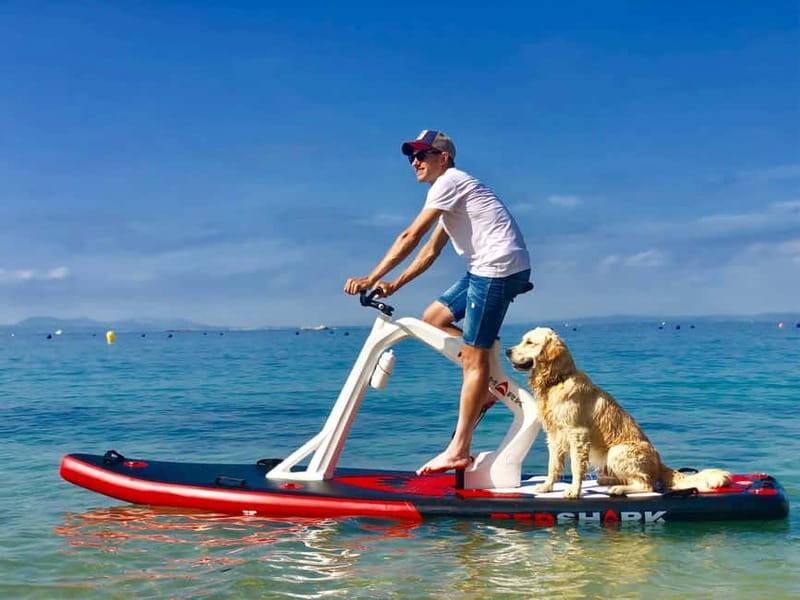 Exclusive sup bike excursion in Mallorca - Who is this experience best for?