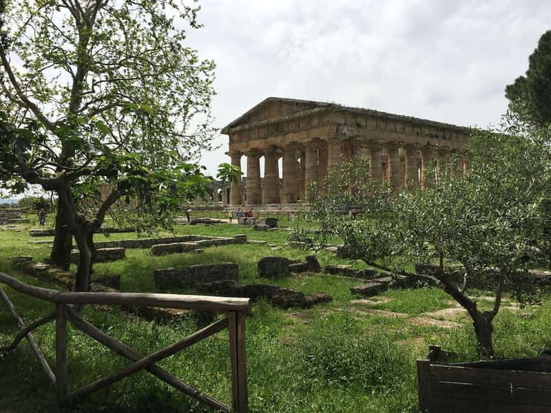 Exclusive Tour: Paestum Excavations and Cheese Factory Visit with Tasting and Lunch - From Ancient Ruins to Modern Cheese-Making