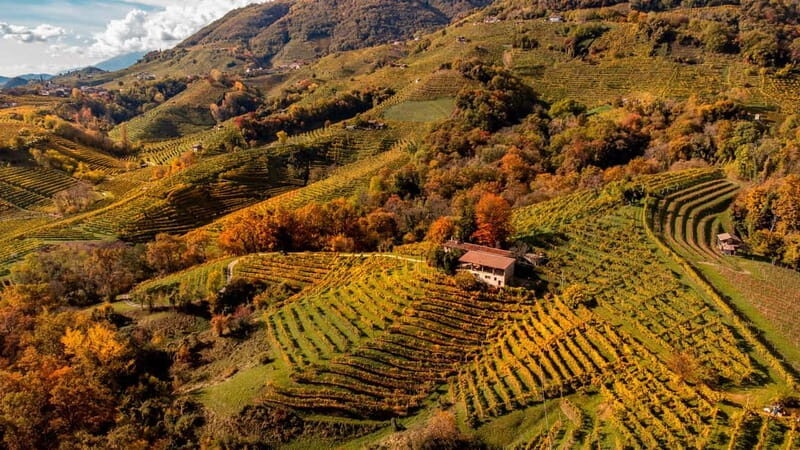 Exclusive Tour through the Riva Gemin - Who Is This Tour Best For?