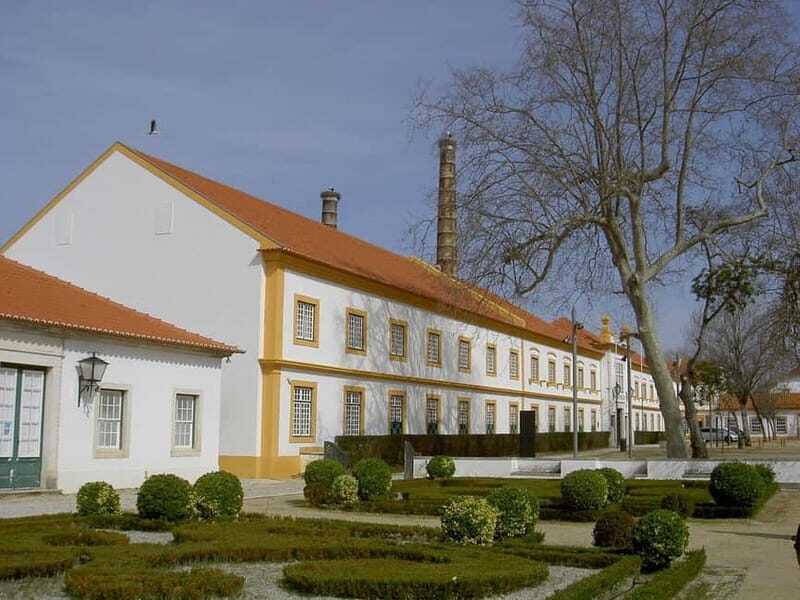 Excursion à Aveiro  Venise du Portugal+Balade en Moliceiro. - Key Points