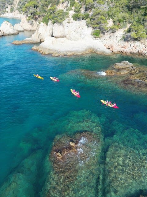 EXCURSION GUIADA EN KAYAK - INICIACIÓN 1h 15m - The Experience from the Viewpoint of Travelers
