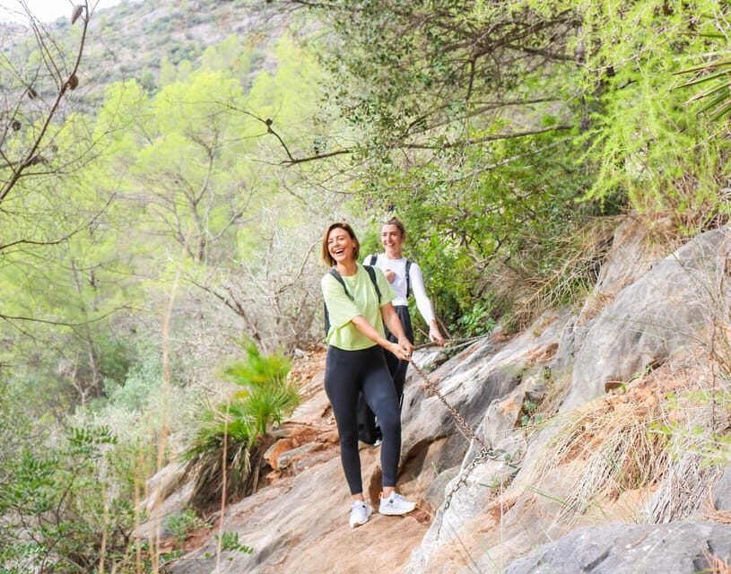 Explore Marbella's Nature: Guided Hiking And Foraging Trip - What You Can Expect from the Tour