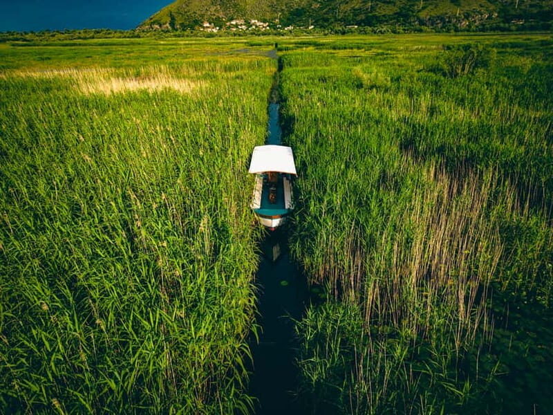 Explore Skadar Lake: Exclusive Guided Boat Falcon Tour! - Who Will Love This Tour?