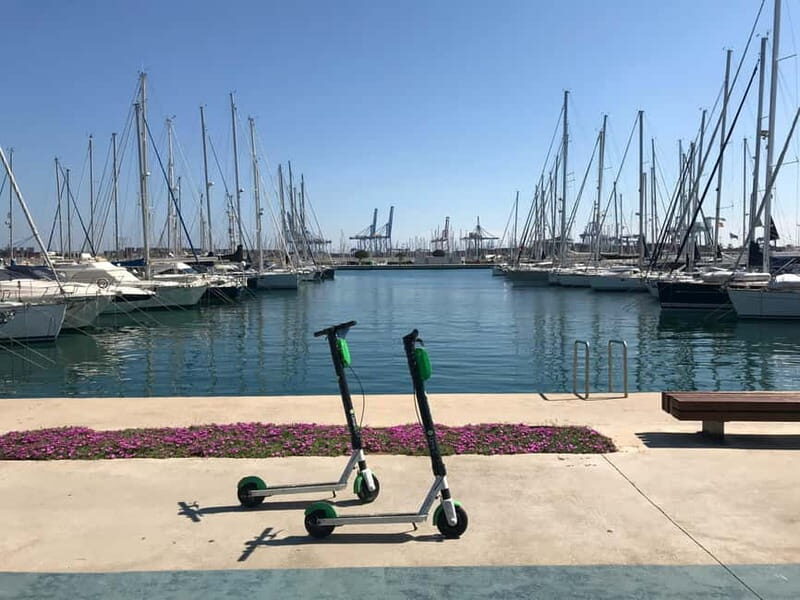 Explore Valencias Coast: Boat trip to Valencian Venice - The Experience on the Water