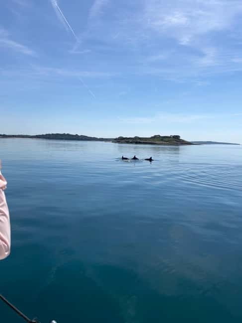 Faana: Dolphin & Sunset - What to Expect from the Faana Dolphin & Sunset Tour