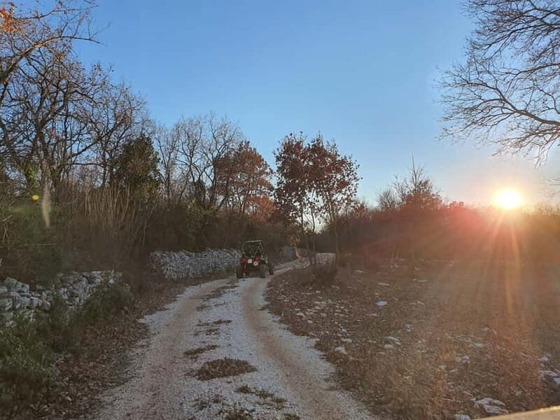 Faana: Sunset Buggy Tour with a possibility of swimming - Analyzing the Value