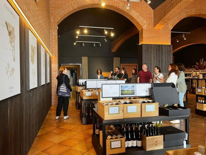 Familia Torres Winery: Gastronomic Tapas & Wine Experience - Tour of the Vineyards
