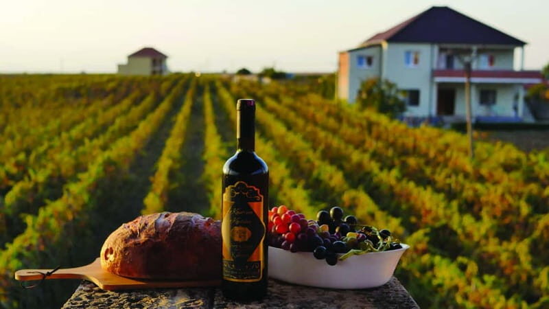 Farm-to-Table Escape: Discover Mrizi i Zanave - Why This Tour Works Well for Travelers
