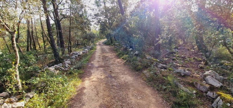 Fátima: E-Bike Tour to Dinosaur Footprints Natural Monument - Final Thoughts: Who Should Consider This Tour?