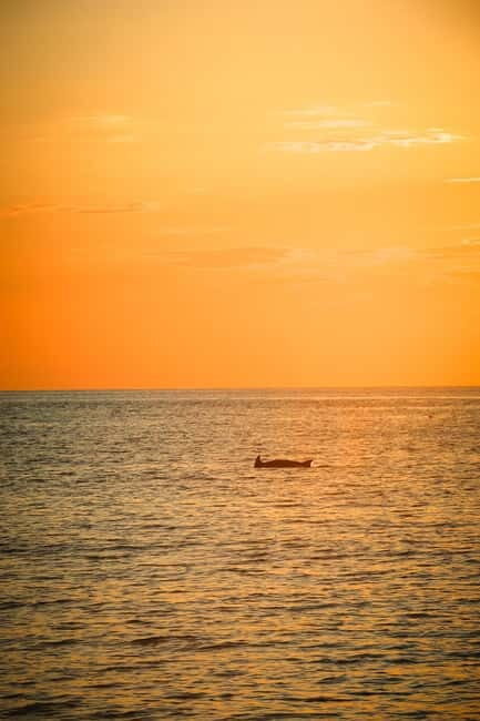 Fazana: Dolphin/Sunset Tour - How the Itinerary Unfolds