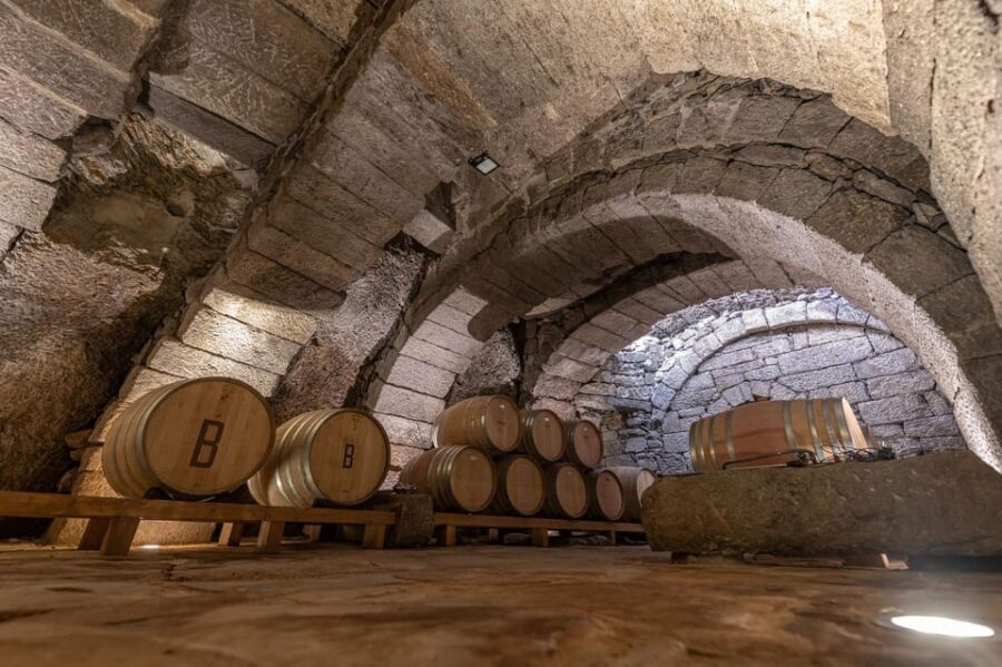 Fermoselle; Visit to the Historical Winery with Wine Tasting - A Walk Through the Winery Experience