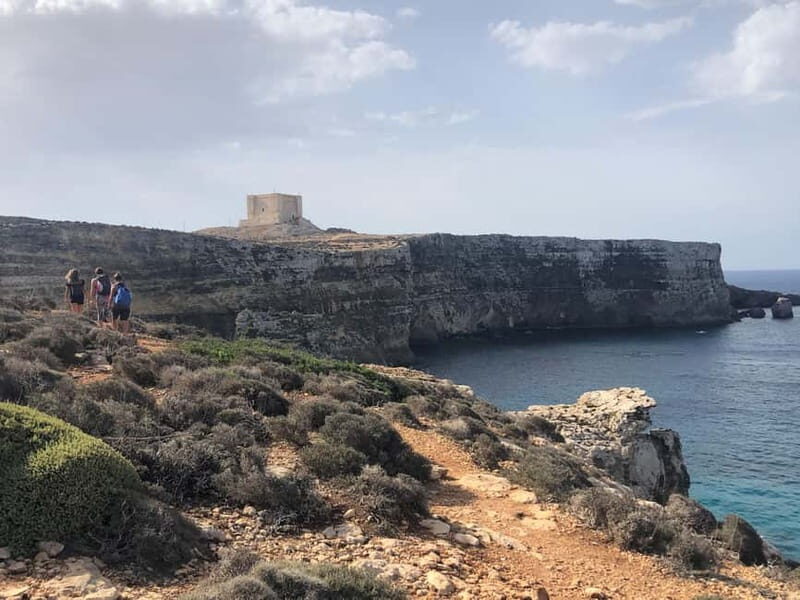 Fernandes Cruise to Blue Lagoon in Comino and Gozo (VTT) - Practical Details & Value