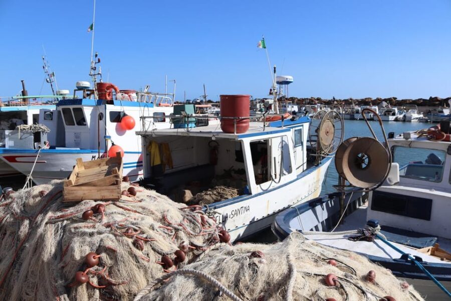 Fishing in Selinunte and lunch with cooking of the catch - What to Expect During the Tour